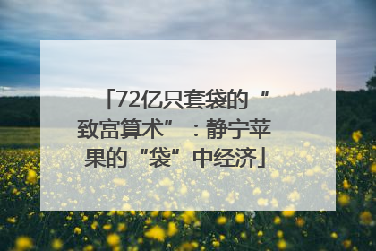 72亿只套袋的“致富算术”：静宁苹果的“袋”中经济