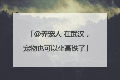 @养宠人 在武汉，宠物也可以坐高铁了