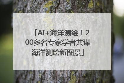 AI+海洋测绘！200多名专家学者共谋海洋测绘新图景